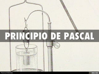 Photo by El Bibliomata
 