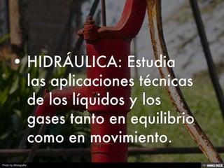 Photo by blfotografia
 