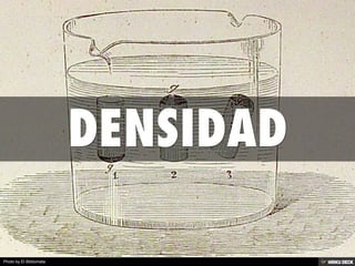 Photo by El Bibliomata
 