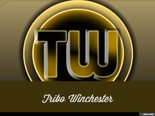 Tribo Winchester rc