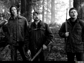 Tribo Winchester rc