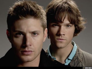 Tribo Winchester rc