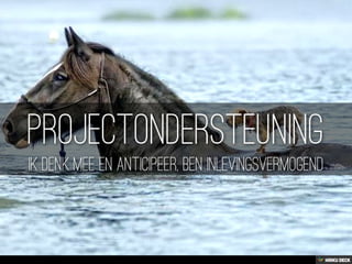 Wat kan ik betekenen voor uw organisatie?