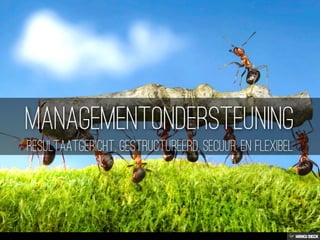 Wat kan ik betekenen voor uw organisatie?