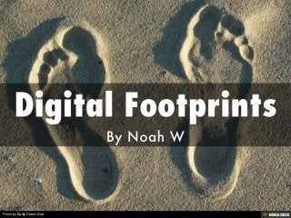 Digital Footprints  By Noah W 