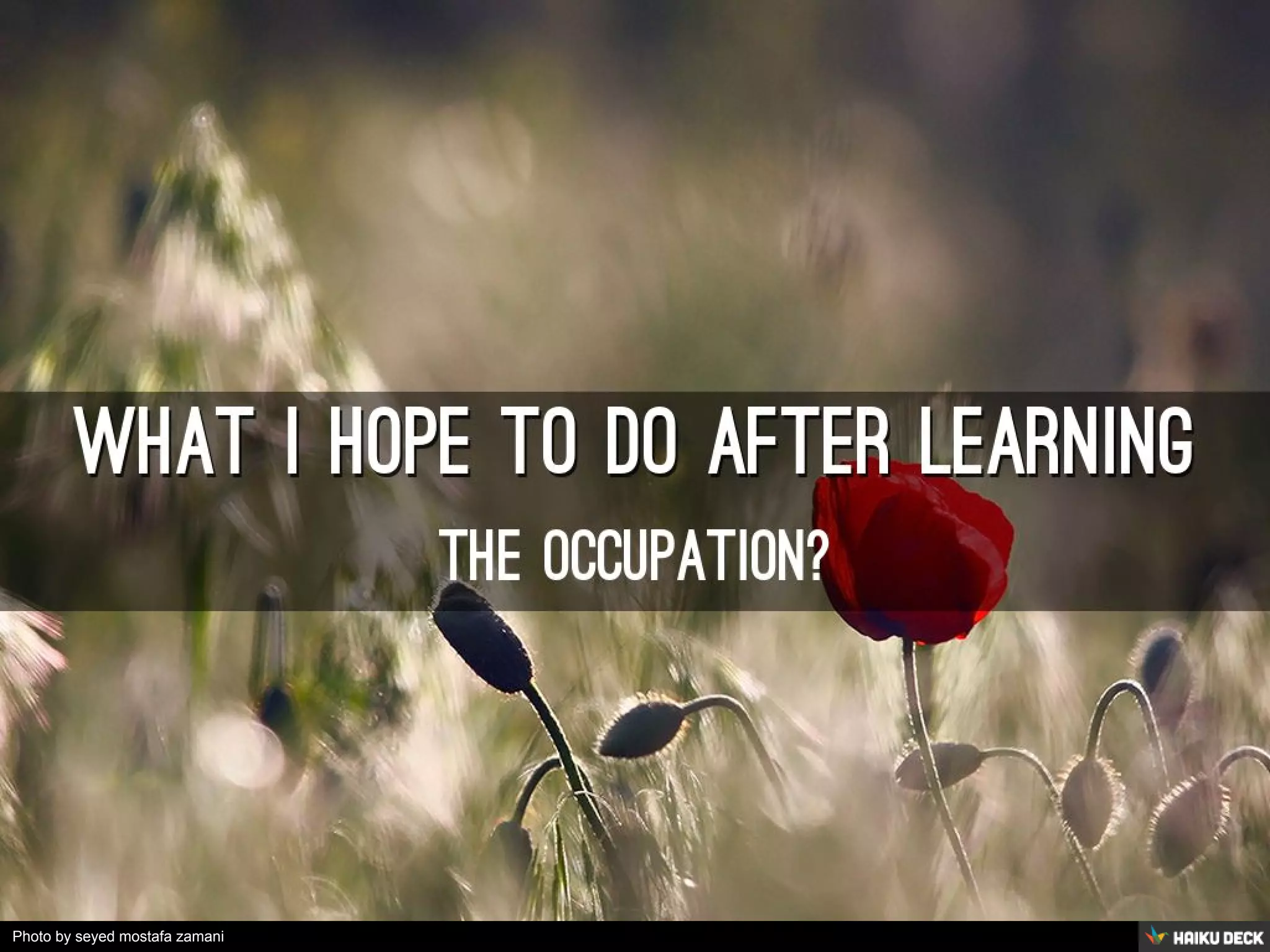 Photo by seyed mostafa zamani