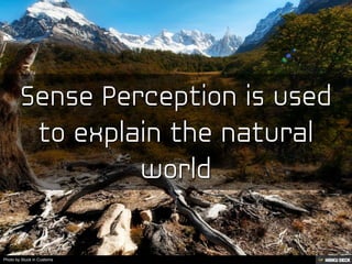 Sense Perception in relation to the Natural Sciences | PDF