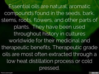 Photo by seanmcgrath
 