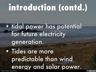 Photo by Green Energy Futures
 