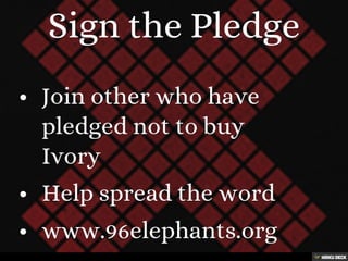 Elephant Decline