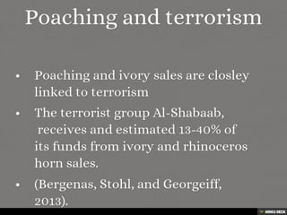 Elephant Decline