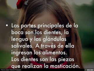 Photo by Joaquin Villaverde Photography
 