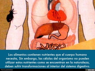 Photo by javierdevilman
 