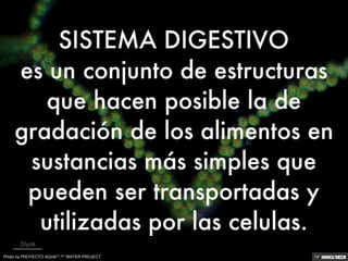 Photo by PROYECTO AGUA** /** WATER PROJECT
 