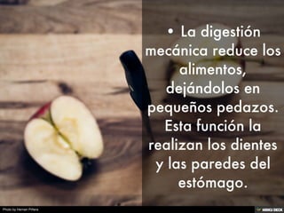 Photo by Hernan Piñera
 