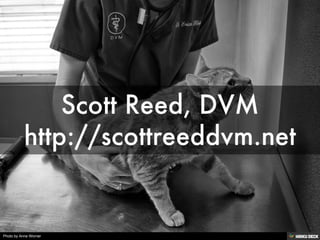 Photo by Anne Worner