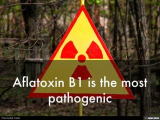 Photo by Matt. Create.