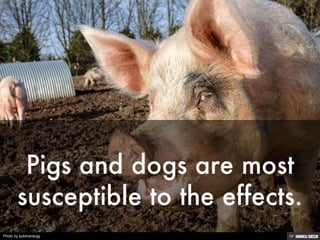 Photo by publicenergy