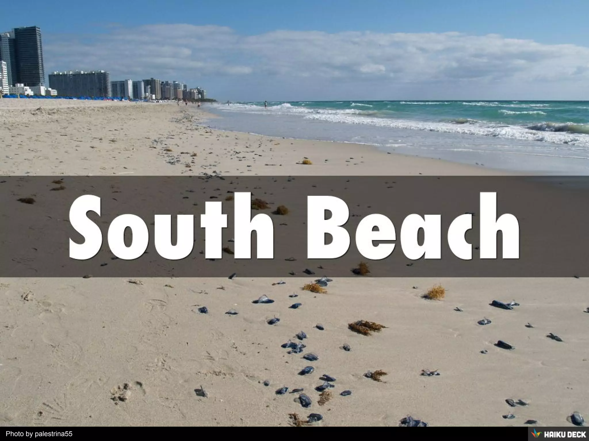 Photo by palestrina55