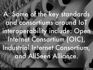 Photo by Lauren Manning
 