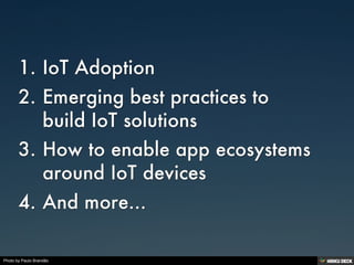 Photo by Paulo Brandão
 