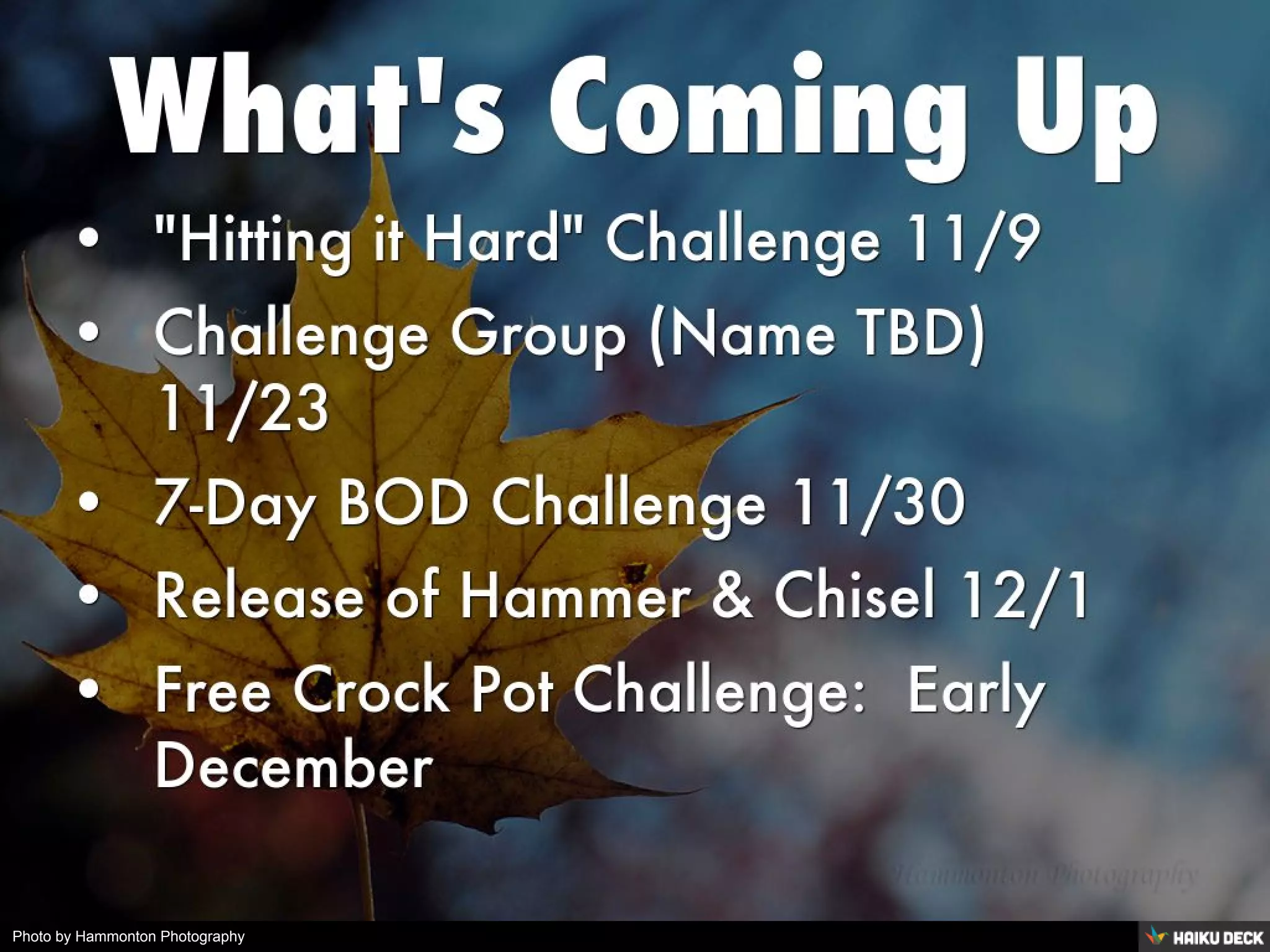 Photo by Hammonton Photography