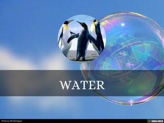 Photo by Will Montague
 