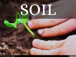 Photo by Pink Sherbet Photography
 