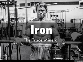 Iron  The Trace Mineral 