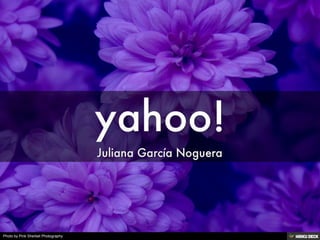 yahoo!  Juliana García Noguera 