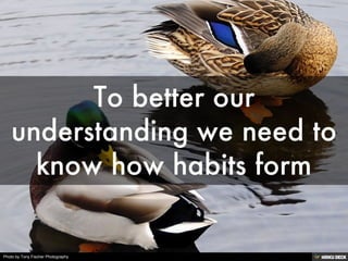 Photo by Tony Fischer Photography
 