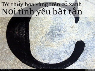 Photo by Leo Reynolds
 