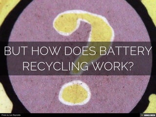 Photo by Leo Reynolds
 