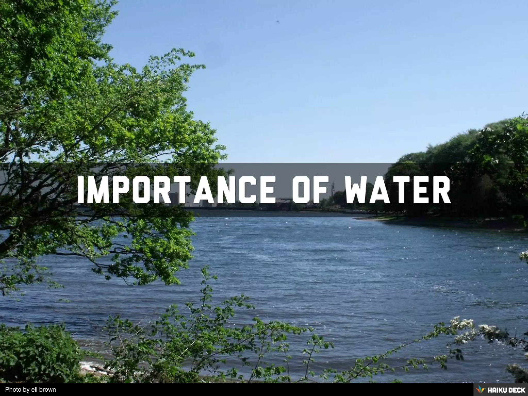 Importance of water PPT