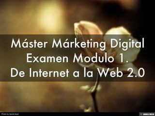 Máster Márketing Digital Examen Modulo 1.  De Internet a la Web 2.0 