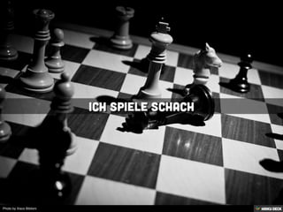 Photo by Xisco Bibiloni
 