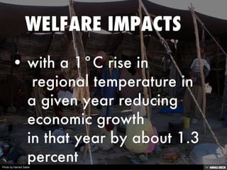 Photo by Hamed Saber