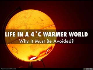 Photo by the meanMRmustard
 