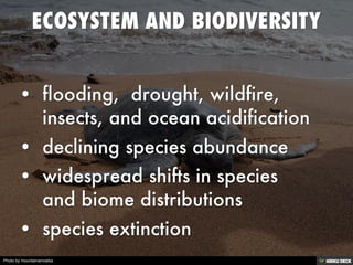 Photo by mountainamoeba
 