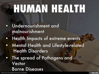 Photo by EU Humanitarian Aid and Civil Protection
 