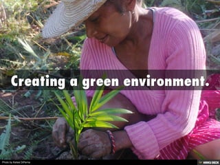 Photo by Kelsie DiPerna
 