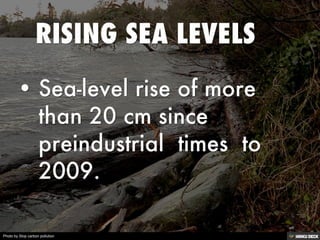 Photo by Stop carbon pollution
 