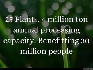 Photo by ecstaticist
 