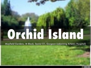 Orchid Island