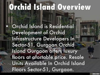 Orchid Island