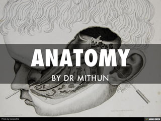 ANATOMY  BY DR MITHUN 