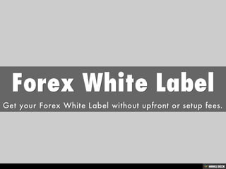 Forex White Label  Get your Forex White Label without upfront or setup fees. 