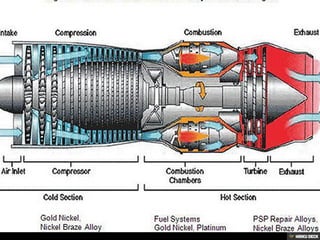 cold section | PDF