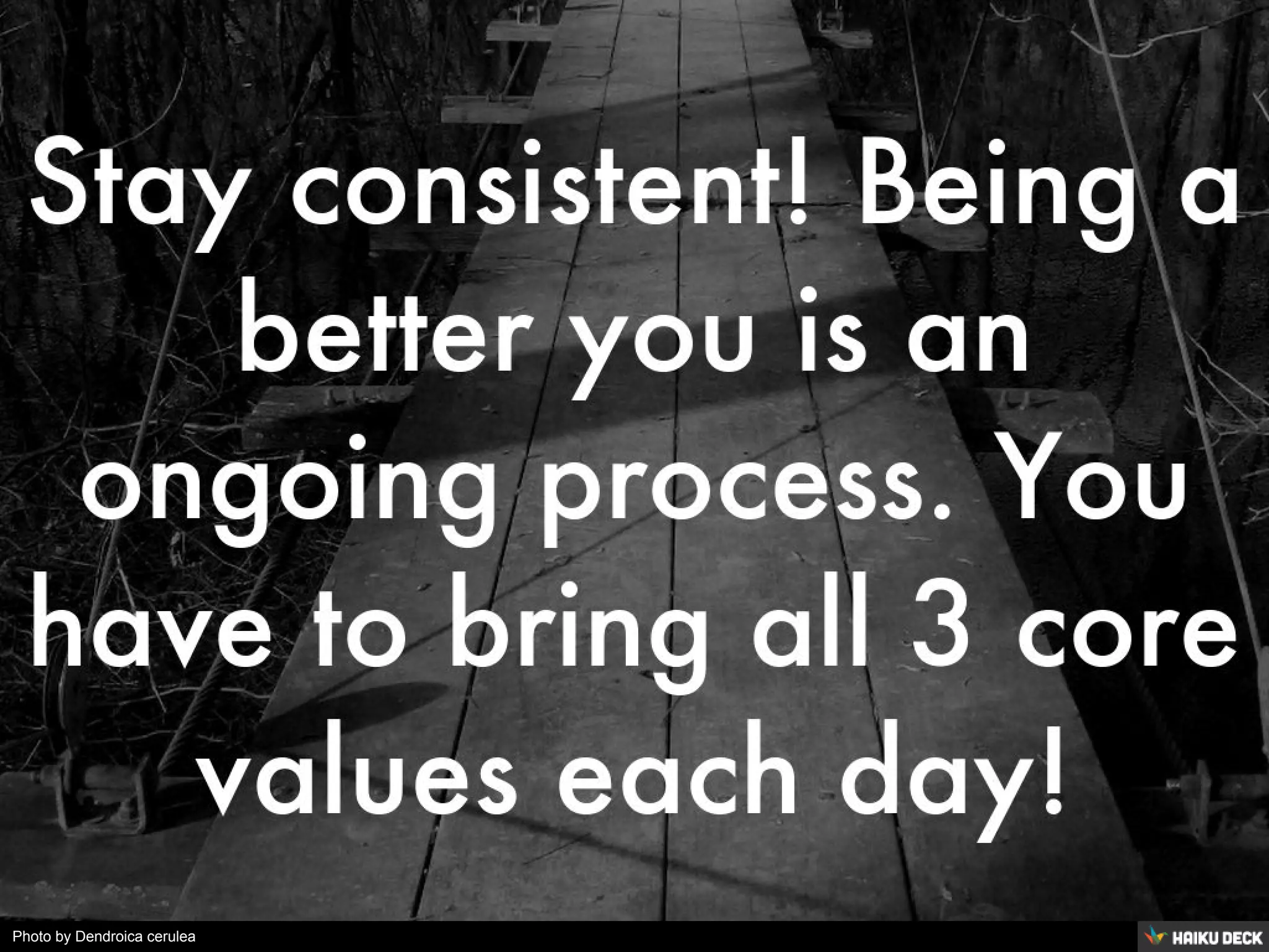 Photo by Dendroica cerulea
 