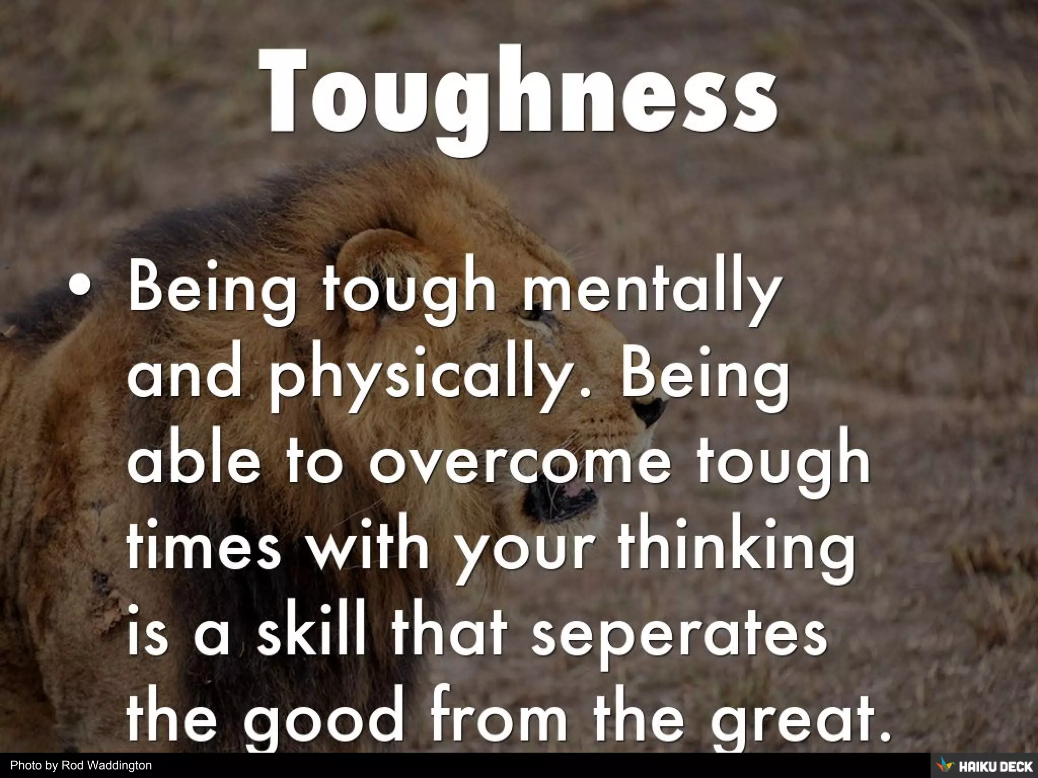 Photo by Rod Waddington
 